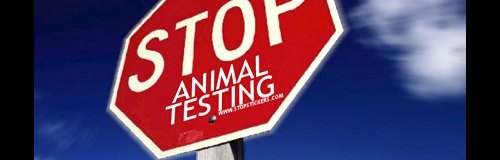 animal_testing_big.jpg
