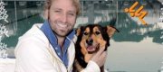 "Confido nel cuore" il calendario 2011 per i cani abbandonati