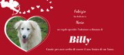 A San Valentino un regalo speciale!!!